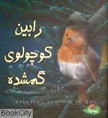 رابین کوچولوی گمشده