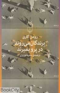 پرندگان می‌روند در پرو می‌میرند (چشمه)