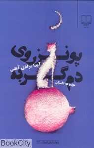 پونز روی دم گربه (جهان تازه داستان 93)
