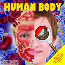 Human Body 8066