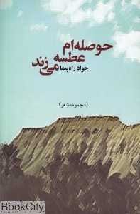 حوصله‌ام عطسه می‌زند (مجموعه شعر)