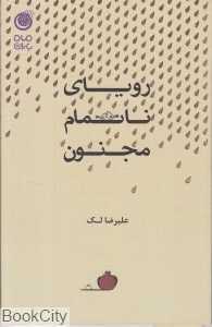 رویای ناتمام مجنون