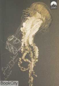 سطوح زندگی