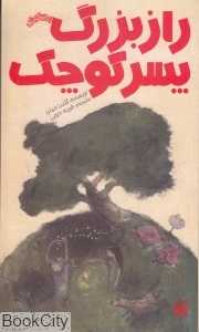 راز بزرگ پسر کوچک (رمان کودک)