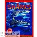 Sharks