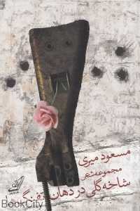 شاخه گلی در دهان تفنگ‌ها (مجموعه شعر)