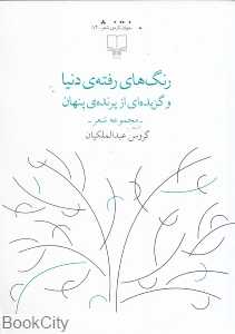 رنگ‌های رفته دنیا و گزیده‌ای از پرنده پنهان (مجموعه شعر)