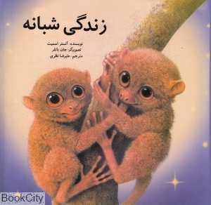 زندگی شبانه