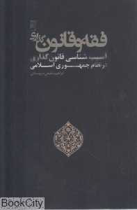 فقه و قانون‌گذاری (آسیب‌شناسی قانون‌گذاری در نظام جمهوری اسلامی)