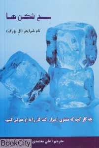 یخ‌شکن‌ها (چه کار کنیم که مشتری اصرار کند کار را به او معرفی کنیم)