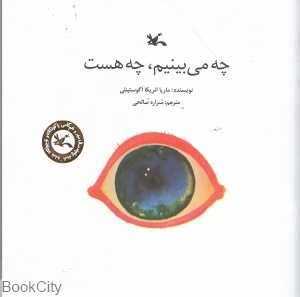 چه می‌بینیم چه هست (تصویر‌گر شراره صالحی)