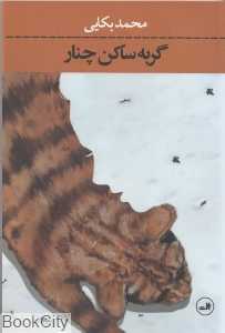 گربه ساکن چنار