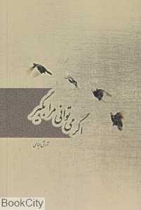 اگر می‌توانی مرا بگیر