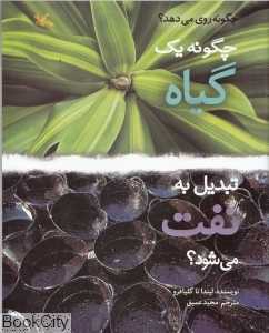 چگونه یک گیاه تبدیل به نفت می‌شود