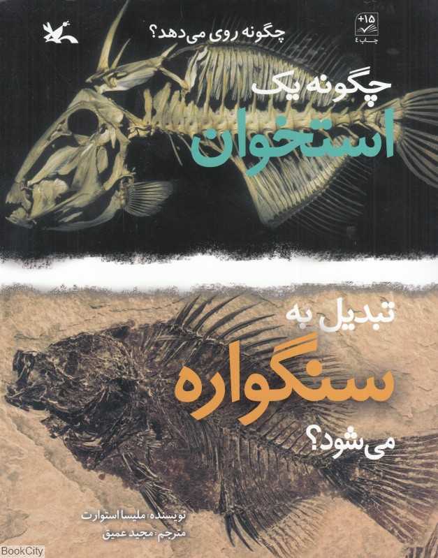 چگونه یک استخوان تبدیل به سنگواره می‌شود