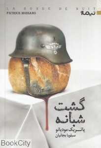 گشت شبانه