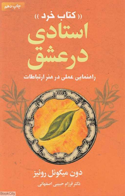 استادی در عشق (کتاب خرد)