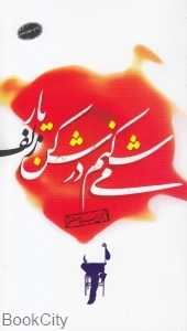 می‌شکنم در شکن زلف یار