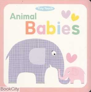 Animal Babies