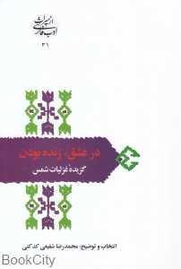 item.website_item_name