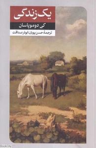 item.website_item_name