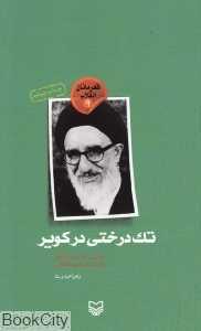 تک درختی در کویر