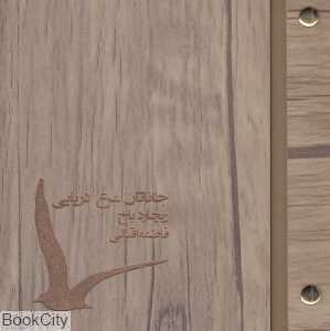 جاناتان مرغ دریایی (چوبی)