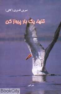 تنها یک بار پرواز کن