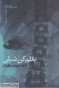 بغلم کن شبلی