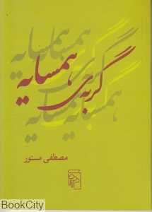 گربه همسایه