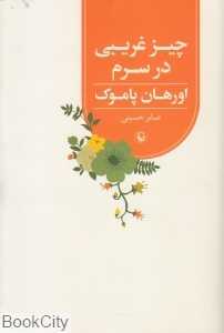 چیز غریبی در سرم