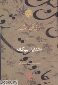 در پی آن آشنا 2 (آشنایان بیگانه)