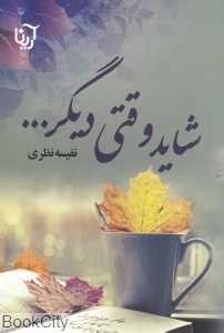 شاید وقتی دیگر