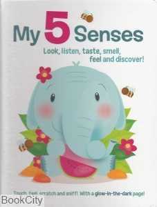 My 5 Senses