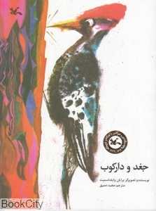 جغد و دارکوب