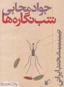 شب‌نگاره‌ها