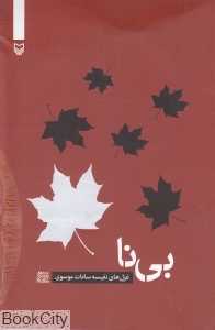 بی‌نا (شعر معناگرا 4)