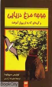 جوجه مرغ دریایی و گربه‌ای که به او پرواز آموخت