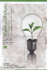 سرمایه‌گذاری جسورانه و فرآیند مبتکرانه
