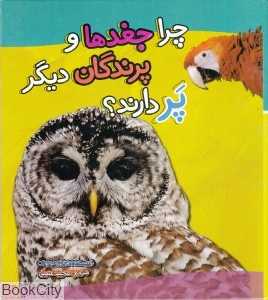 چرا جغد‌ها و پرندگان دیگر پر دارند
