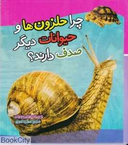 چرا حلزون‌ها و حیوانات دیگر صدف دارند