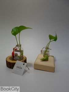 گلدان شیشه‌ای کوچک روشان - 0