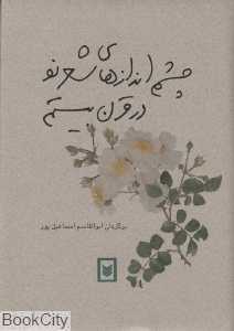 چشم‌اندازهای شعر نو در قرن بیستم