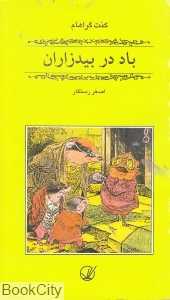 باد در بیدزاران