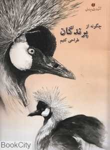 چگونه از پرندگان طراحی کنیم