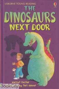 The Dinosaurs Next Door (Usborne Young Reading) 0702