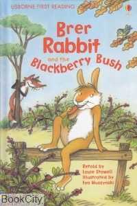 Brer Rabbit (Usborne First Reading) 6703
