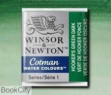 آبرنگ قرصی WINSOR 301312 Hookers Green Dark 312