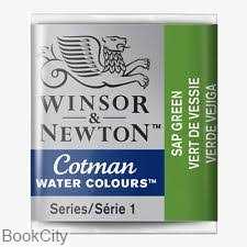 آبرنگ قرصی WINSOR 301599 Sap Green 599