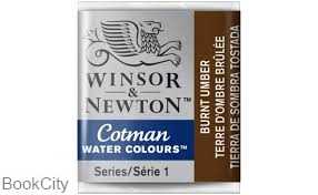 آبرنگ قرصی WINSOR 301076 Burnt Umber 076